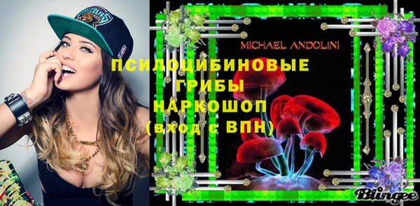 спиды Алексеевка